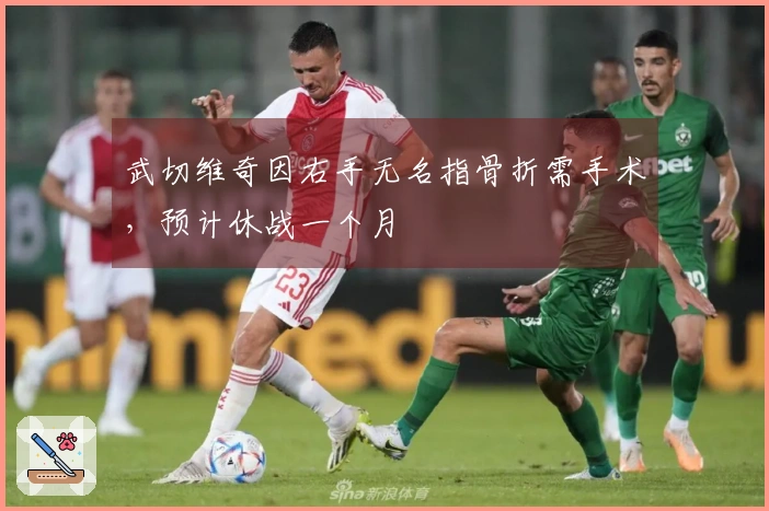 武切维奇因右手无名指骨折需手术，预计休战一个月